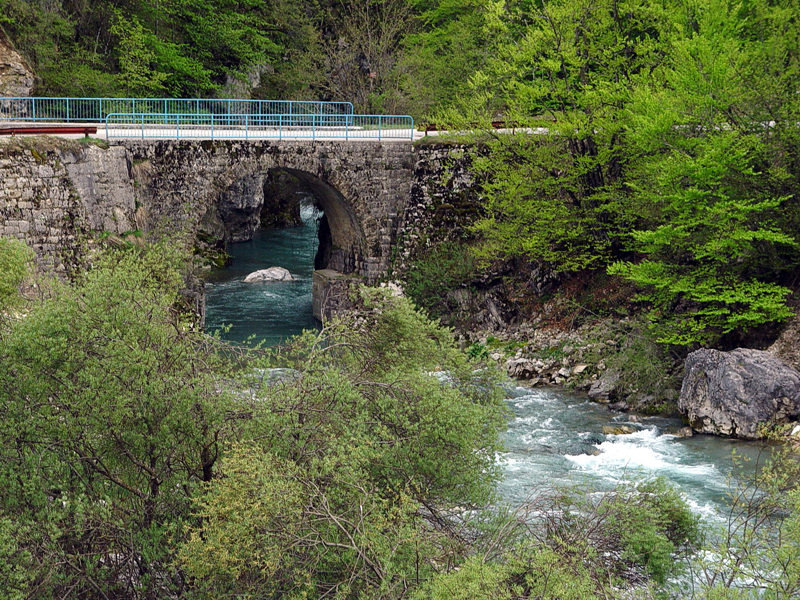 Most Savnik